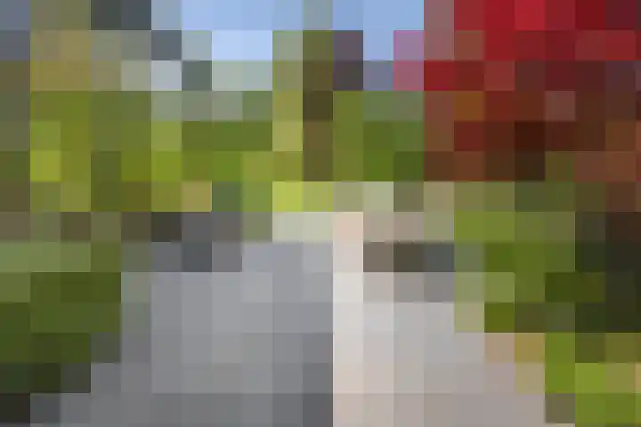 Vijverweg 10 Bloemendaal thumbnail 55