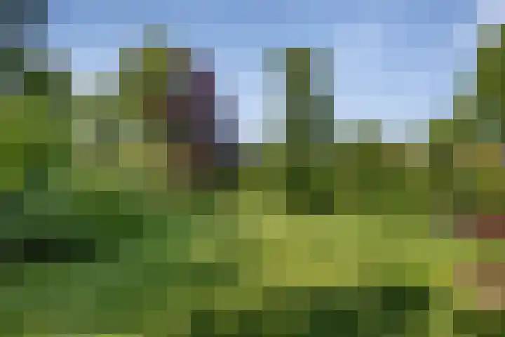 Vijverweg 10 Bloemendaal thumbnail 57