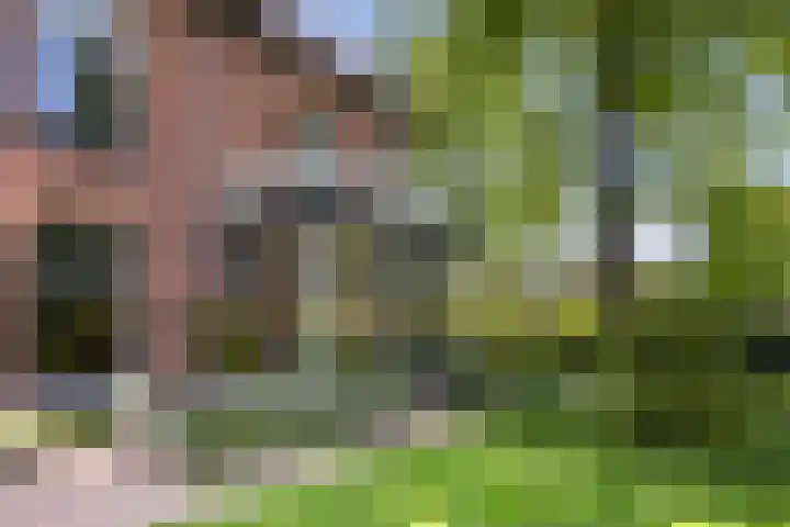 Vijverweg 10 Bloemendaal thumbnail 69