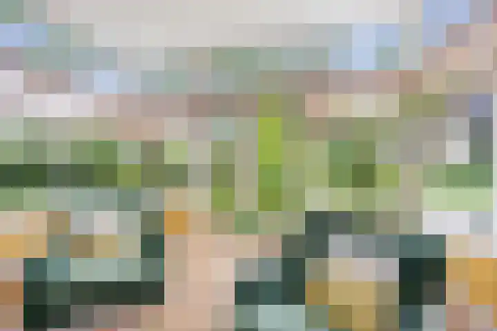 Vijverweg 10 Bloemendaal thumbnail 7
