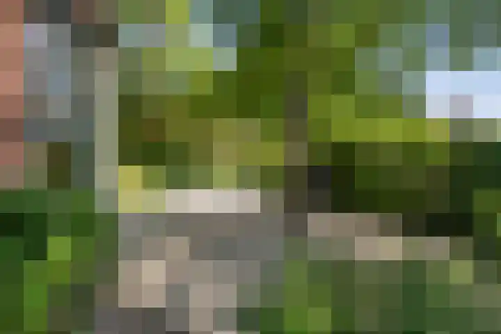 Vijverweg 10 Bloemendaal thumbnail 72