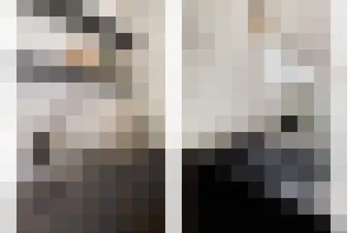 Vijverweg 10 Veghel thumbnail 13
