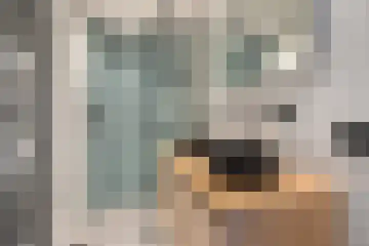 Vijverweg 10 Veghel thumbnail 19