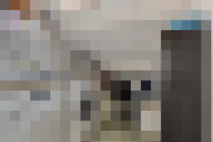 Vijverweg 10 Veghel thumbnail 27