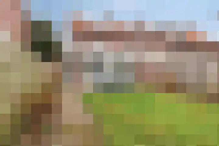 Vijverweg 10 Veghel thumbnail 30
