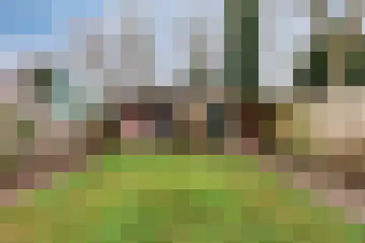 Vijverweg 10 Veghel thumbnail 32