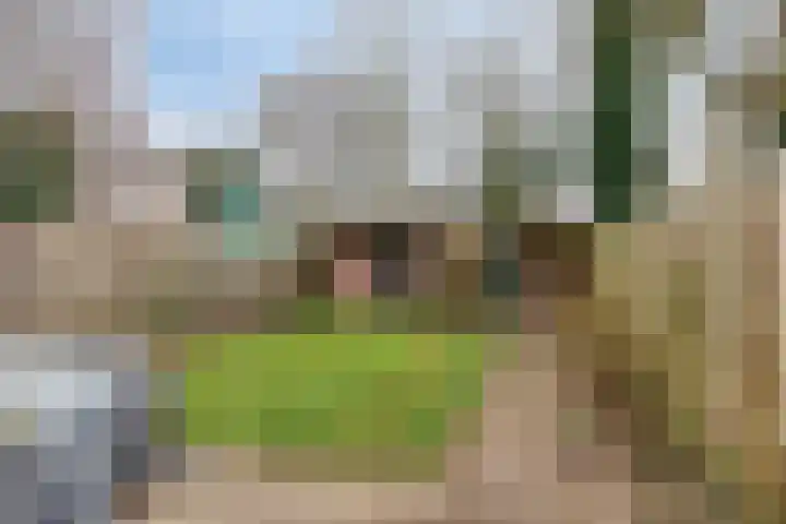 Vijverweg 10 Veghel thumbnail 33