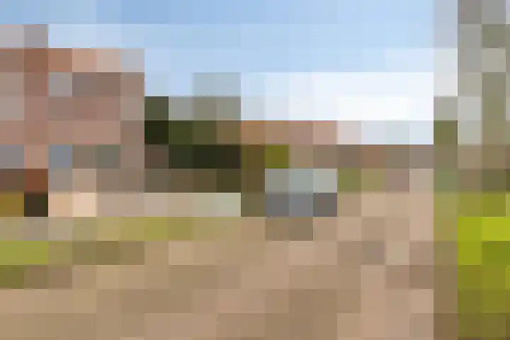 Vijverweg 10 Veghel thumbnail 35