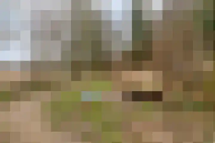 Vijverweg 10 Veghel thumbnail 37