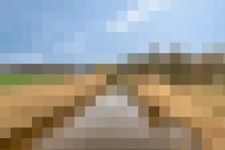 Vijverweg 10 Veghel thumbnail 38