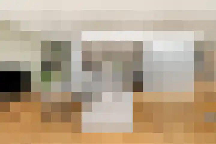 Vijverweg 10 Veghel thumbnail 7
