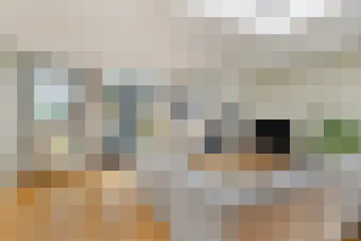 Vijverweg 10 Veghel thumbnail 8