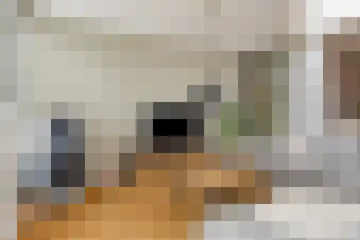 Vijverweg 10 Veghel thumbnail 9