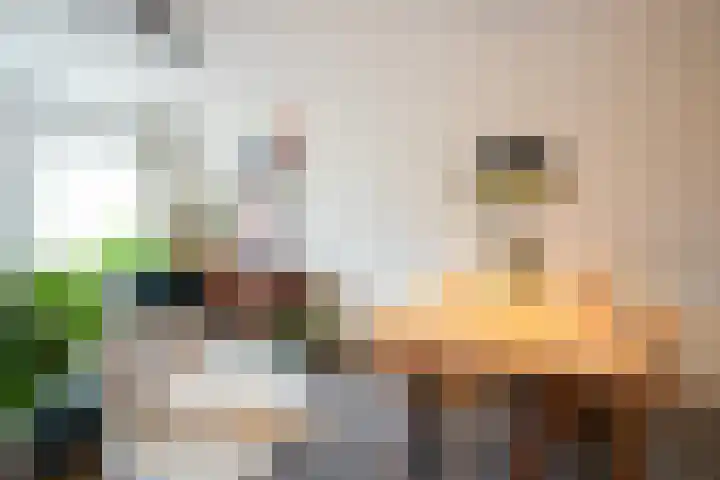 Vijverweg 100 Sittard thumbnail 10
