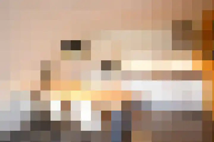Vijverweg 100 Sittard thumbnail 8