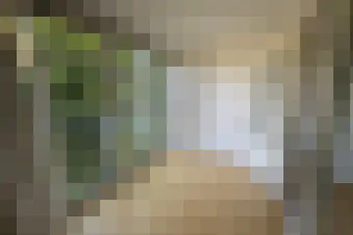 Vijverweg 109 Sittard thumbnail 9