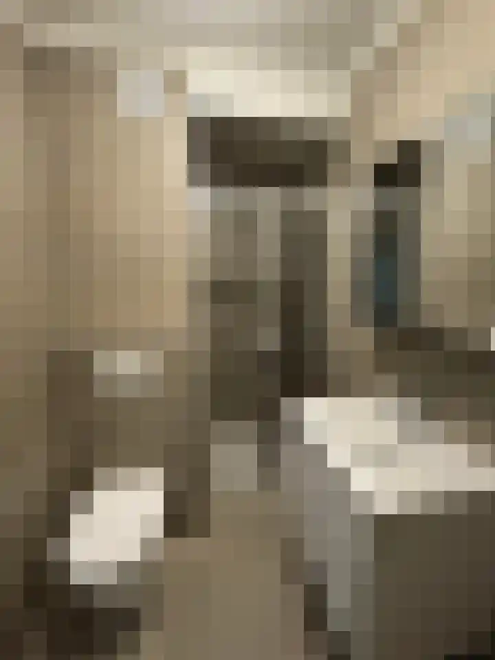 Vijverweg 112 Sittard thumbnail 14