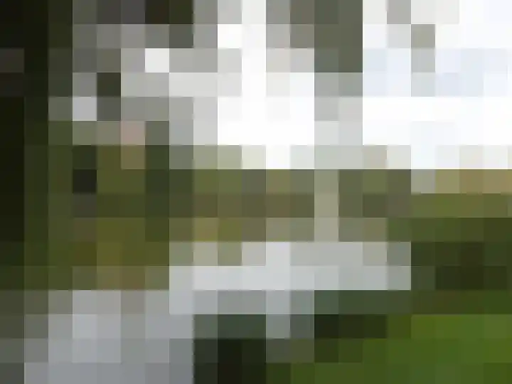 Vijverweg 112 Sittard thumbnail 16
