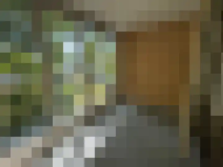 Vijverweg 113 Sittard thumbnail 10