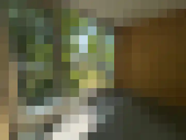 Vijverweg 113 Sittard thumbnail 11