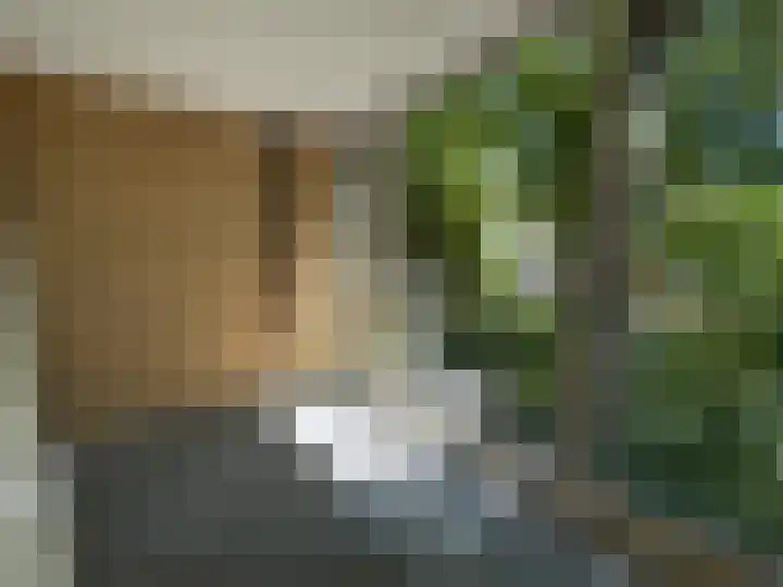 Vijverweg 113 Sittard thumbnail 12