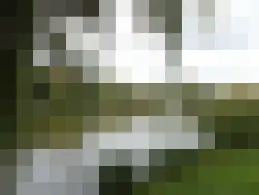 Vijverweg 113 Sittard thumbnail 18
