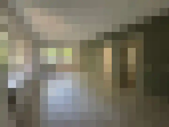 Vijverweg 113 Sittard thumbnail 5