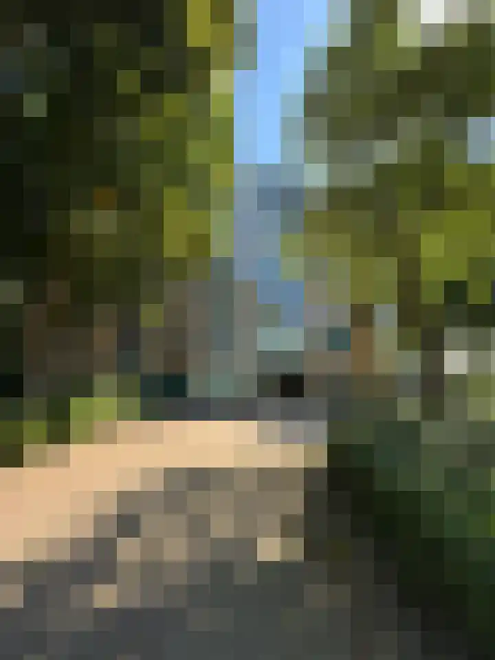 Vijverweg 119 Sittard thumbnail 4