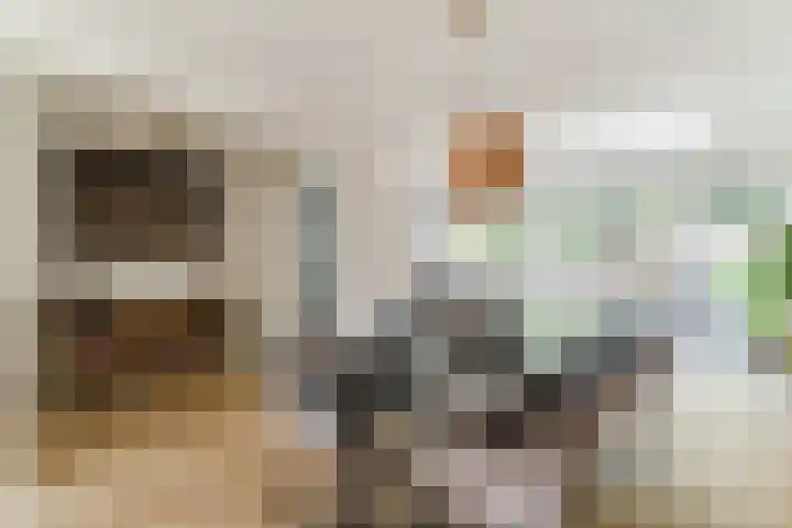 Vijverweg 14 Veghel thumbnail 11
