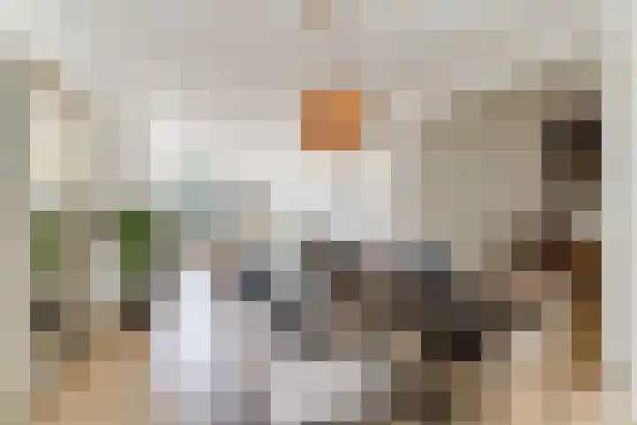 Vijverweg 14 Veghel thumbnail 13