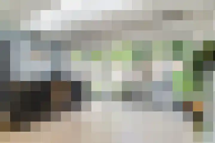 Vijverweg 14 Veghel thumbnail 19