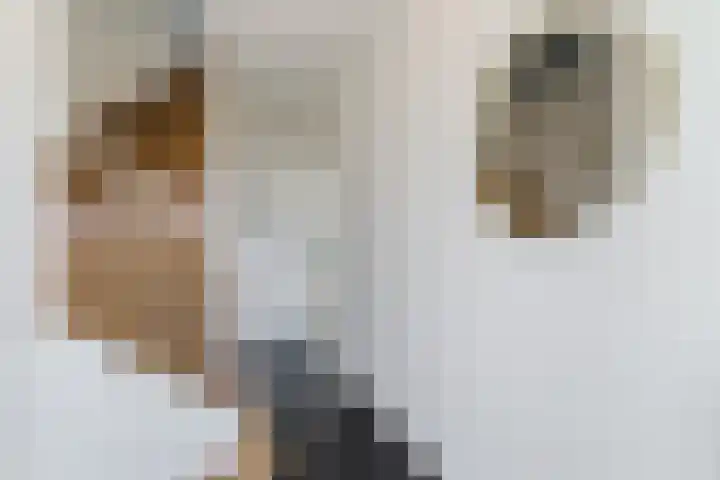 Vijverweg 14 Veghel thumbnail 21