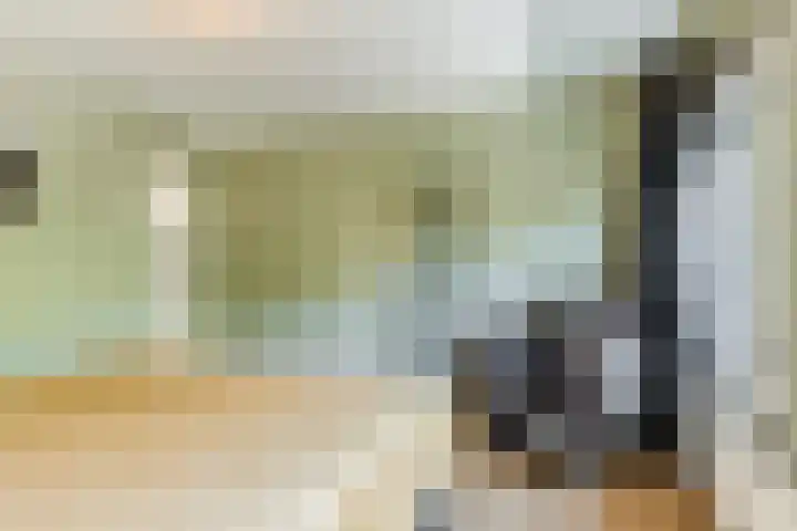 Vijverweg 14 Veghel thumbnail 25