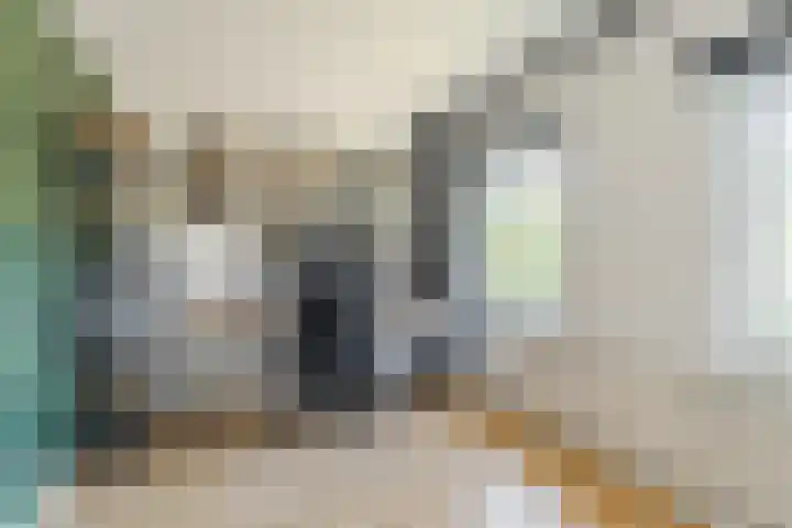 Vijverweg 14 Veghel thumbnail 27