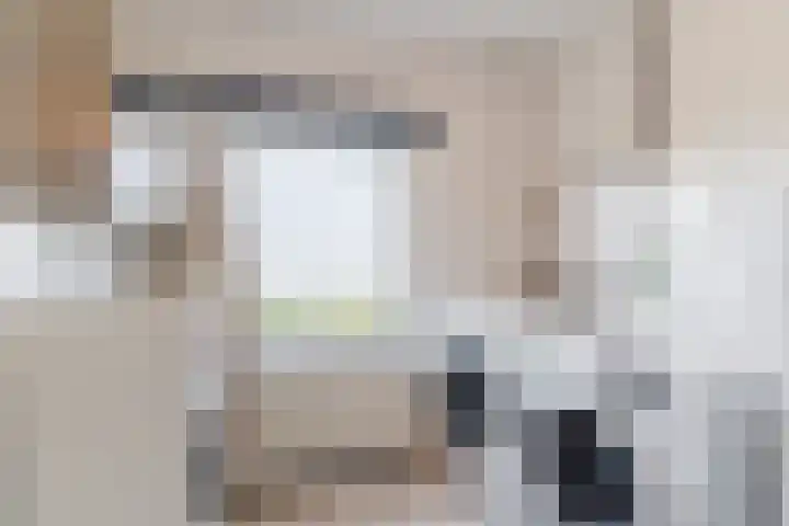Vijverweg 14 Veghel thumbnail 32