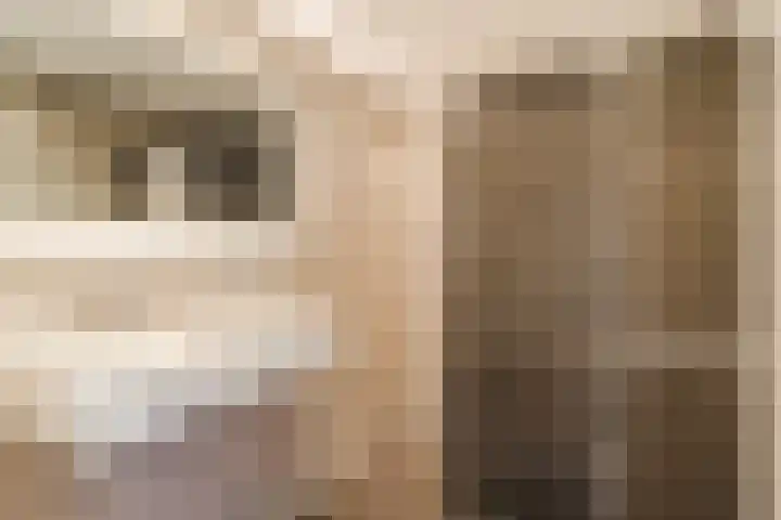 Vijverweg 14 Veghel thumbnail 33
