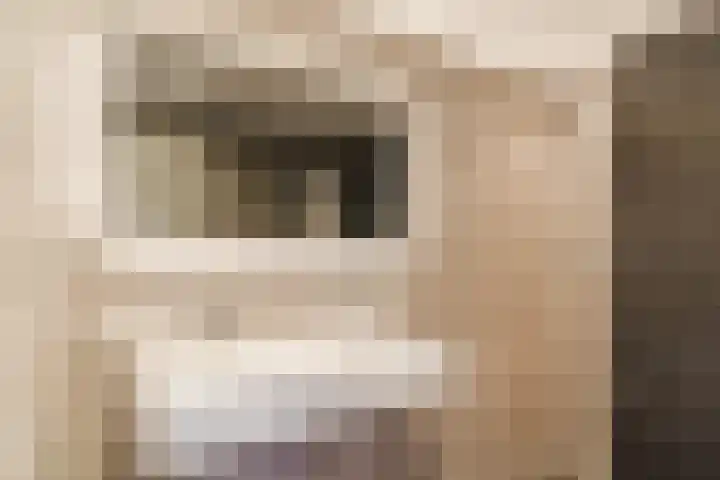 Vijverweg 14 Veghel thumbnail 34