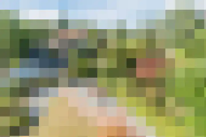 Vijverweg 14 Veghel thumbnail 41