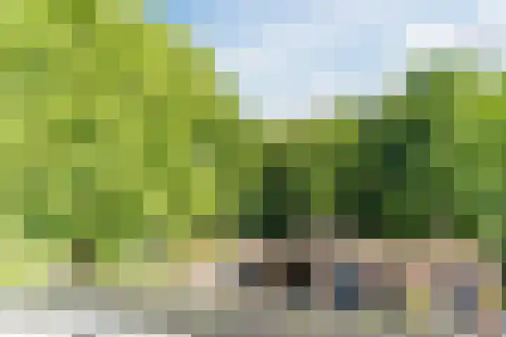 Vijverweg 14 Veghel thumbnail 42