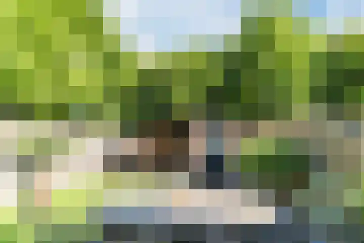 Vijverweg 14 Veghel thumbnail 43