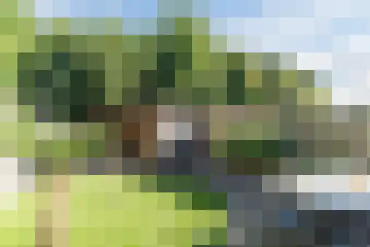 Vijverweg 14 Veghel thumbnail 44