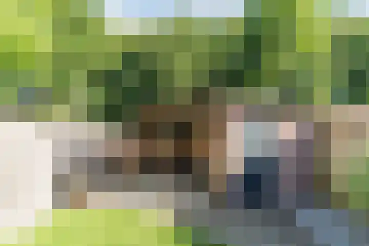 Vijverweg 14 Veghel thumbnail 45