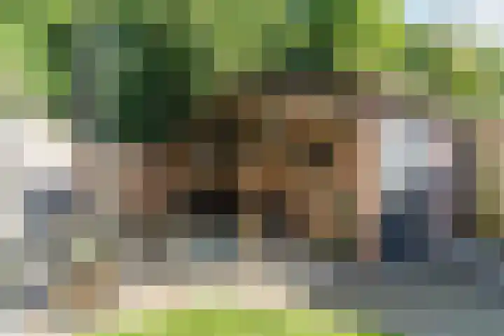 Vijverweg 14 Veghel thumbnail 46