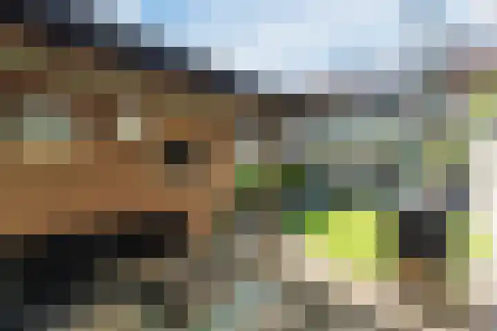 Vijverweg 14 Veghel thumbnail 47