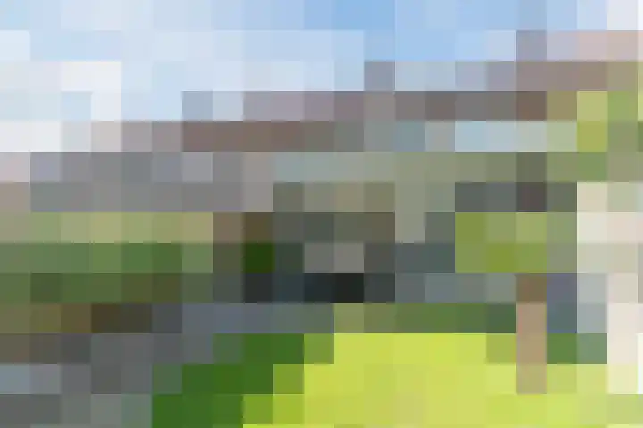 Vijverweg 14 Veghel thumbnail 48