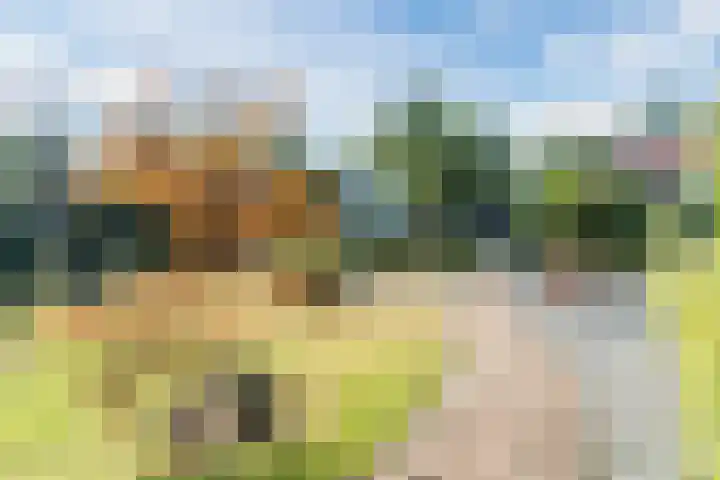 Vijverweg 14 Veghel thumbnail 50
