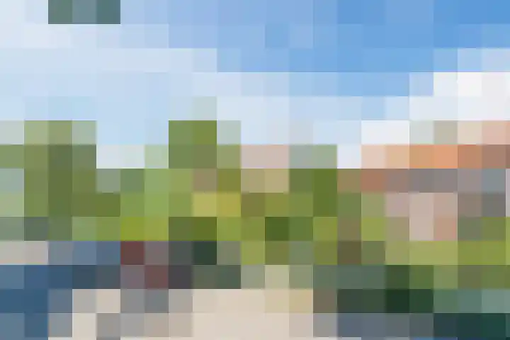 Vijverweg 14 Veghel thumbnail 51