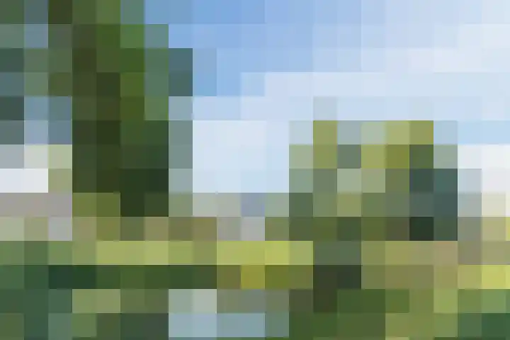 Vijverweg 14 Veghel thumbnail 52