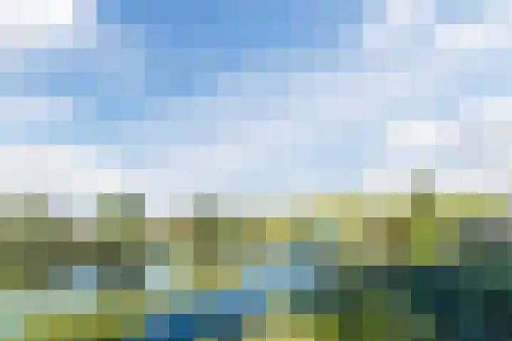 Vijverweg 14 Veghel thumbnail 53