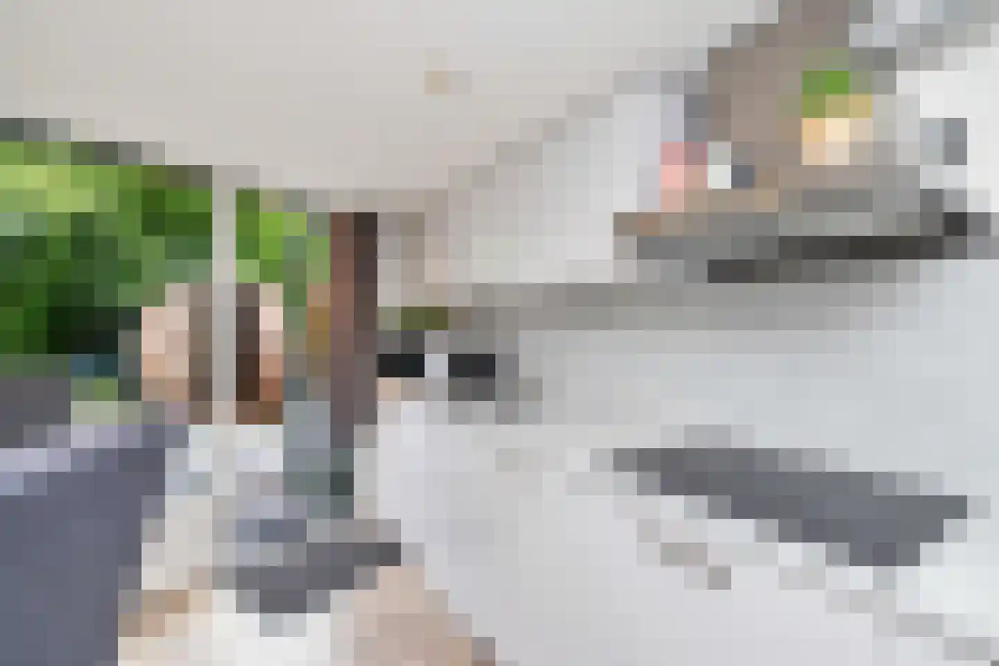 Vijverweg 16 26 Nieuwe Niedorp thumbnail 14